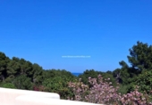 Detached villa with land for sale on España, Sant Carles de Peralta, ref: TR376591 photo