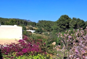 Sant Carles de Peralta 15500&nbsp;m² 