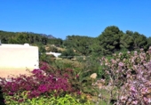 Detached villa with land for sale on España, Sant Carles de Peralta, ref: TR376591 photo
