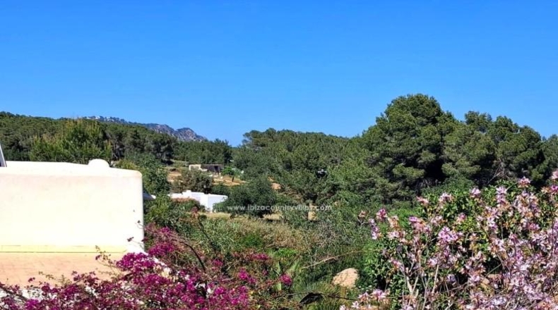 Islas Baleares - Сант Карлес де Перальта - 15500m2