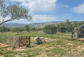Onil 10049&nbsp;m² 