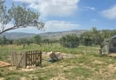 Parcela urbanizable en venta en la Cam dels pous, Onil, ref: TR406217 foto