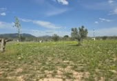 Parcela urbanizable en venta en la Cam dels pous, Onil, ref: TR406217 foto