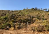 Prefabricated house with land for sale on Autovía del Mediterráneo, Ojén, ref: TR406219 photo