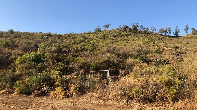 Málaga - Ojén - 7000m2