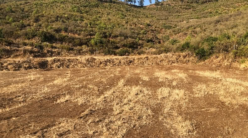 Málaga - Ojén - 7000m2