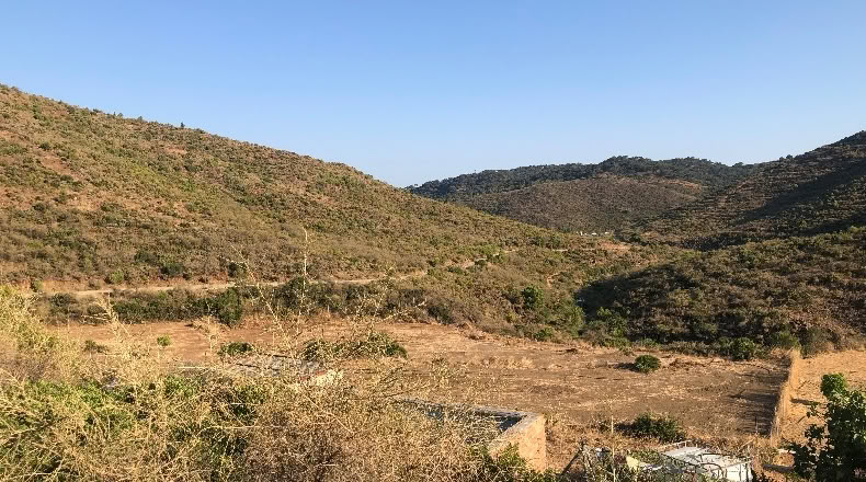 Málaga - Ojén - 7000m2