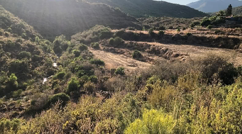 Málaga - Ojén - 7000m2