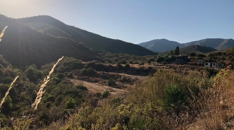 Málaga - Ojén - 7000m2