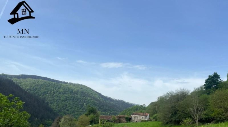 Cantabria - Carrascal de San Miguel - 5000m2