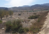 Non-developable land for sale on España, Benferri, ref: TR404092 photo