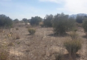 Non-developable land for sale on España, Benferri, ref: TR404092 photo