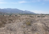 Non-developable land for sale on España, Benferri, ref: TR404092 photo