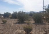 Non-developable land for sale on España, Benferri, ref: TR404092 photo