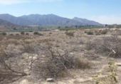 Non-developable land for sale on España, Benferri, ref: TR404092 photo