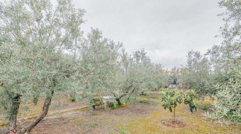 Granada - Ogíjares - 645m2