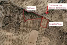 Deifontes 15000&nbsp;м²