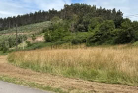 El Aguaduz 2940&nbsp;м²