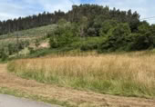 Parcel·la urbanitzable en venda a la La Peruyera, El Aguaduz, ref.: TR406258 foto