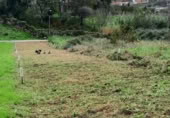 Non-developable land for sale on Camiño de Sabaxáns, Vigo, ref: TR406276 photo