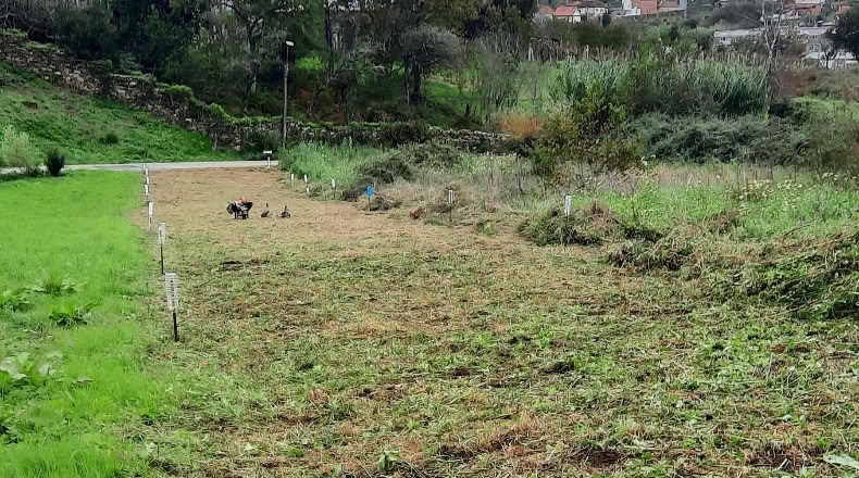 Pontevedra - Vigo - 538m2