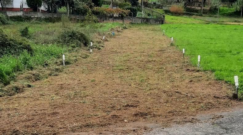 Pontevedra - Vigo - 538m2