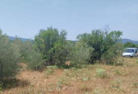 la Vall d'Alba 4615&nbsp;m² 