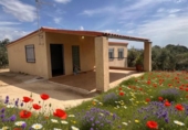 Detached villa with land for sale on España, Malpartida de Plasencia, ref: TR406278 photo