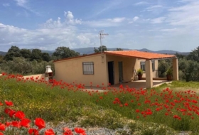 Malpartida de Plasencia 1188&nbsp;m² 