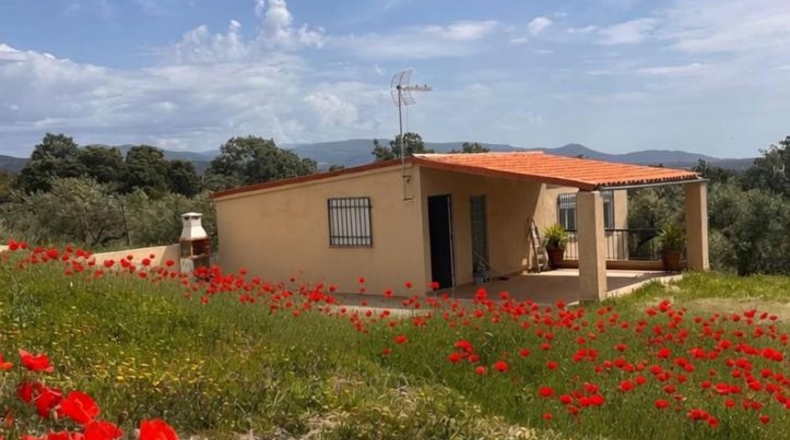Cáceres - Malpartida de Plasencia - 1188m2