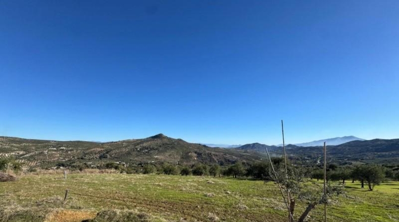 Málaga - Tolox - 5000m2