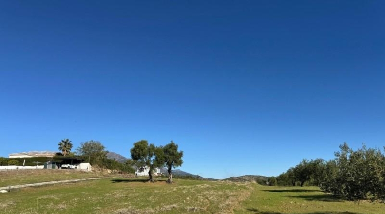 Málaga - Tolox - 5000m2