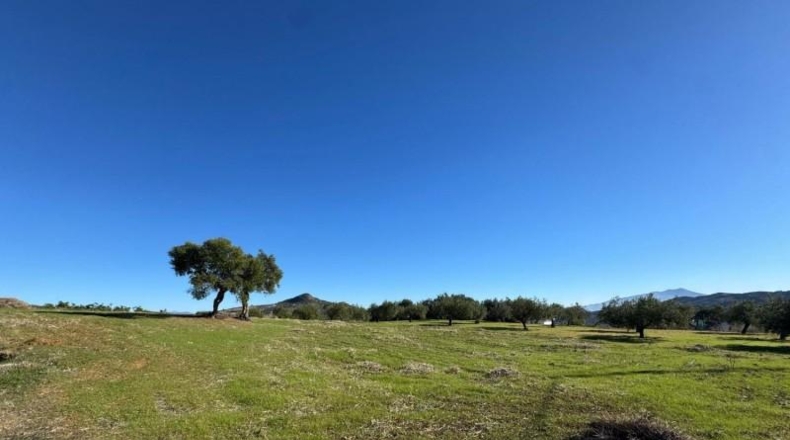 Málaga - Tolox - 5000m2