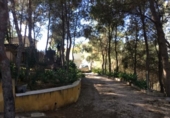 Xalet independent amb terreny en venda a la España, Múrcia, ref.: TR406275 foto