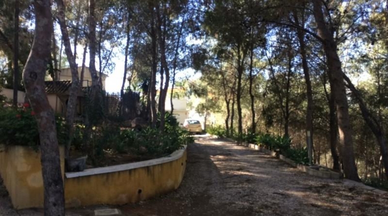 Múrcia - Murcia - 8500m2