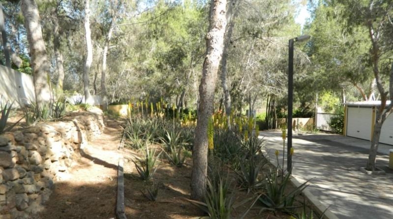 Múrcia - Murcia - 8500m2