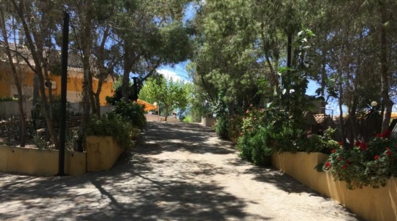 Múrcia - Murcia - 8500m2