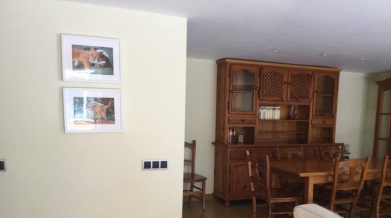 Múrcia - Murcia - 8500m2