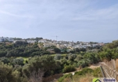 Parcel·la urbanitzable en venda a la España, Marbella, ref.: TR116343 foto