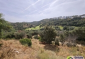 Parcel·la urbanitzable en venda a la España, Marbella, ref.: TR116343 foto