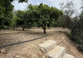 Masia with land for sale in Albuñuelas ref: TR406280 photo