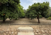 Masia with land for sale in Albuñuelas ref: TR406280 photo