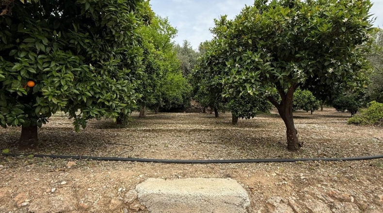 Granada - Albuñuelas - 1400m2