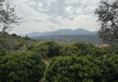 Masia with land for sale in Albuñuelas ref: TR406280 photo