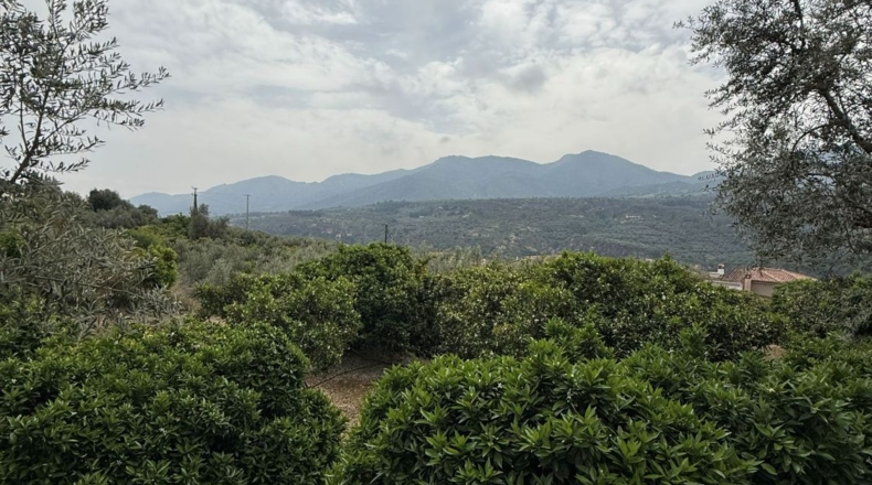 Granada - Albuñuelas - 1400m2