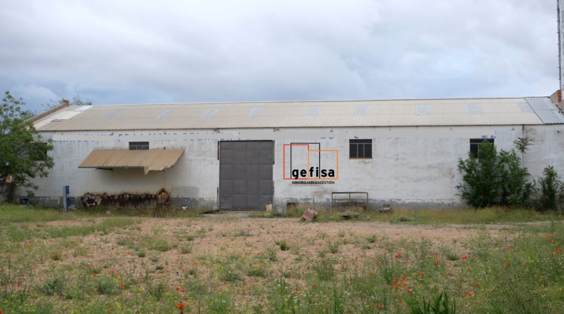 Ciudad Real - Valdepeñas - 2200m2