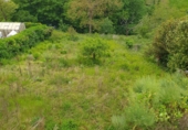 Terreny en venda a Tineo ref.: TR406288 foto