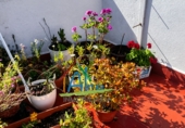 Chalet adosado con terreno en venta en Almonte ref: TR386015 foto