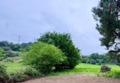Land suitable for development for sale in Gijón ref: TR103958 photo