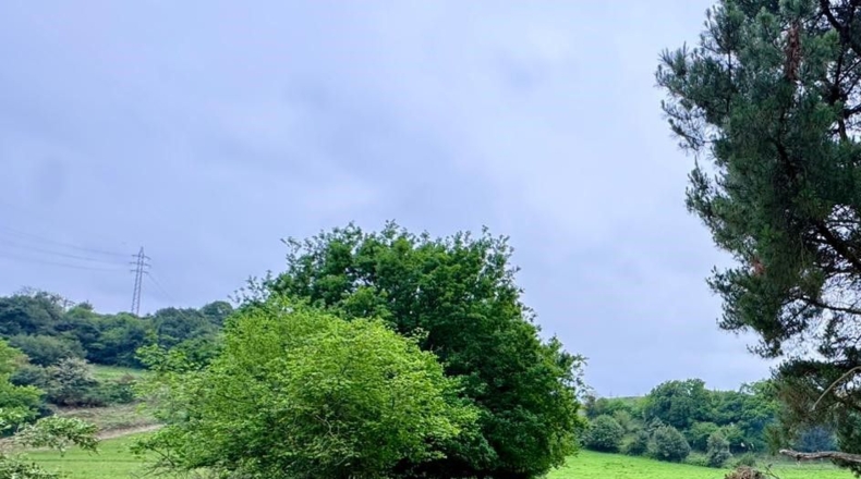 Astúries - Caraveo - 2015m2
